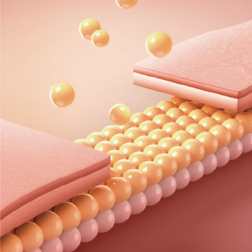 リヴァイブ 脂肪除去+皮膚のタイトニング
